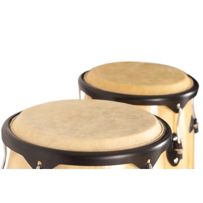 Jinbao Congas 10" und 11" JBSH2 Ahorn natur mit Ständer